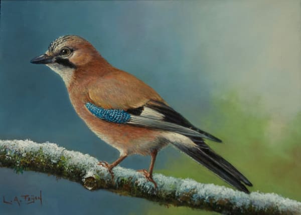 Lion Feijen, Summer Jay