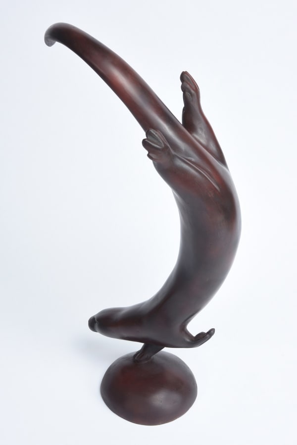 Martin Hayward Harris, Diving Otter