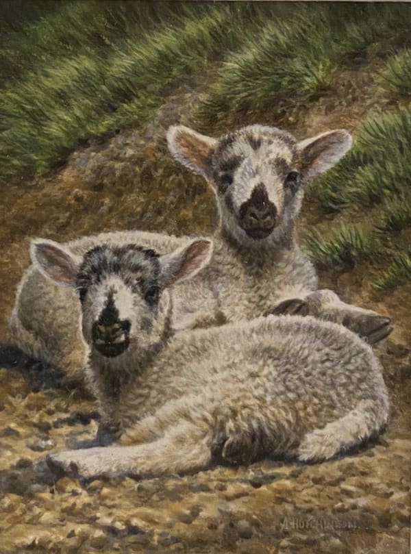 Andrew Hutchinson RMS, Spring Lambs