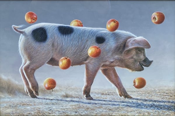 Andrew Hutchinson RMS, Old Spot Pig with Apples