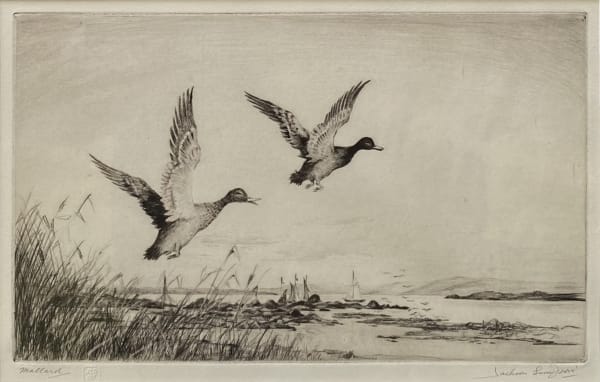 Henry Jackson Simpson MC, Mallard