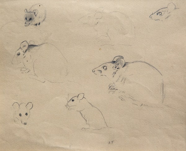 Archibald Thorburn, Mouse Studies