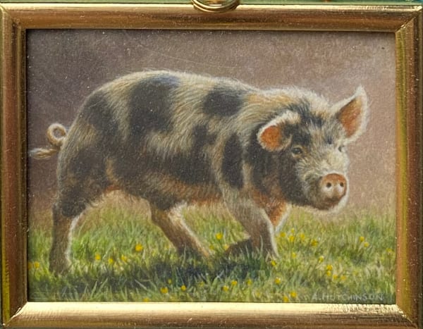 Andrew Hutchinson RMS, Old Spot Pig, 2022