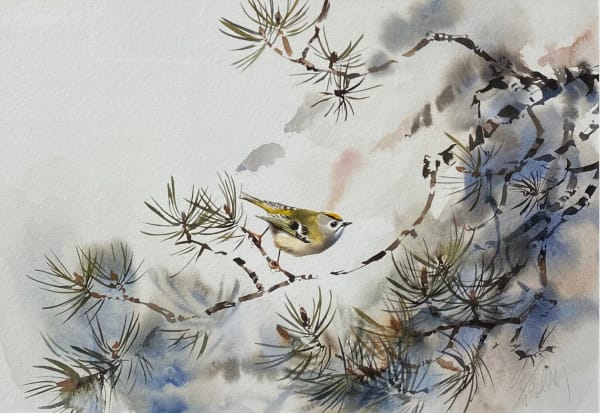 Lucy Newton, Goldcrest