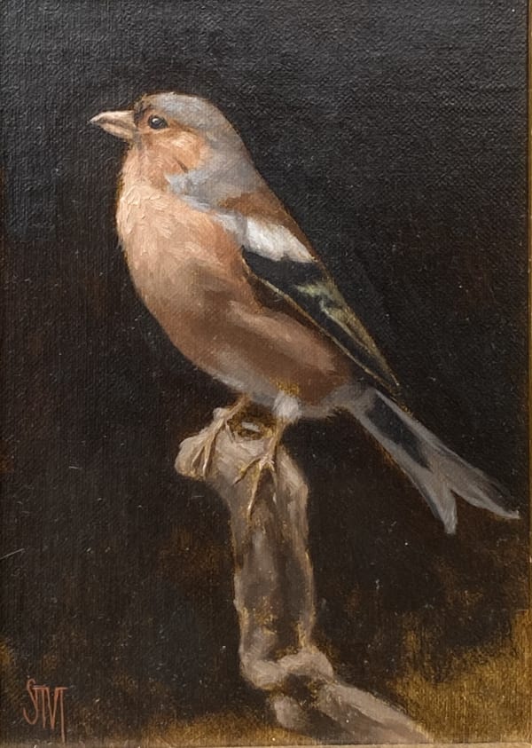 Sarah Margaret Gibson, Chaffinch