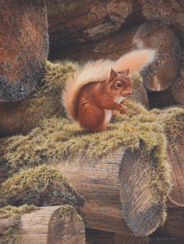 Andrew Hutchinson RMS, Logging On