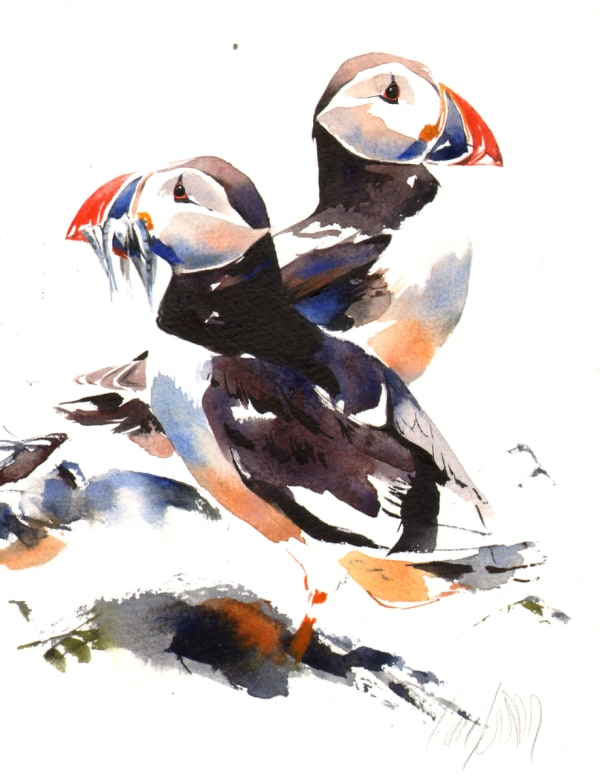 Lucy Newton, Puffins, June