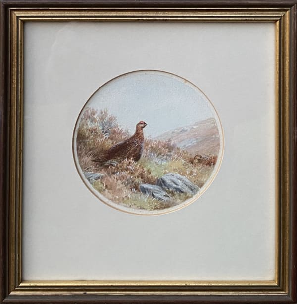Vincent Robert Stewart Ramsey Balfour-Browne, Set of Four Spyglass Studies: Pheasant, Partridge, Grouse, Mallard
