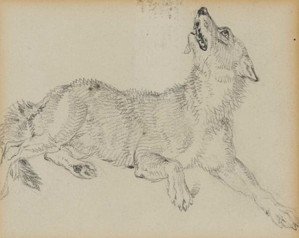 Sir Edwin Henry Landseer RA, The Wolf
