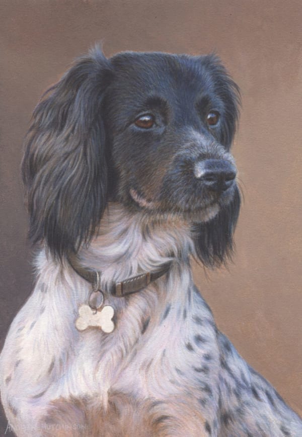 Andrew Hutchinson RMS, Portrait of a Munsterlander