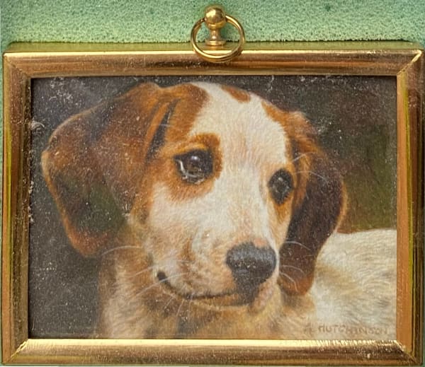 Andrew Hutchinson RMS, Beagle Pup, 2022