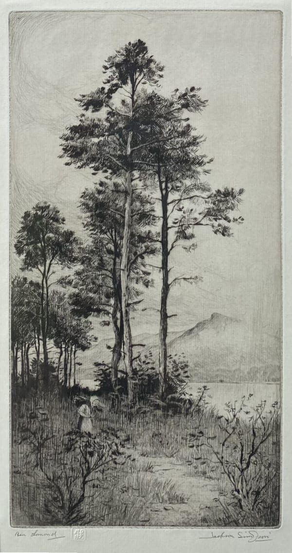 Henry Jackson Simpson MC, Ben Lomond