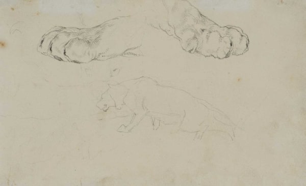 Sir Edwin Henry Landseer RA, Studies of a Lion and Lion's Paw