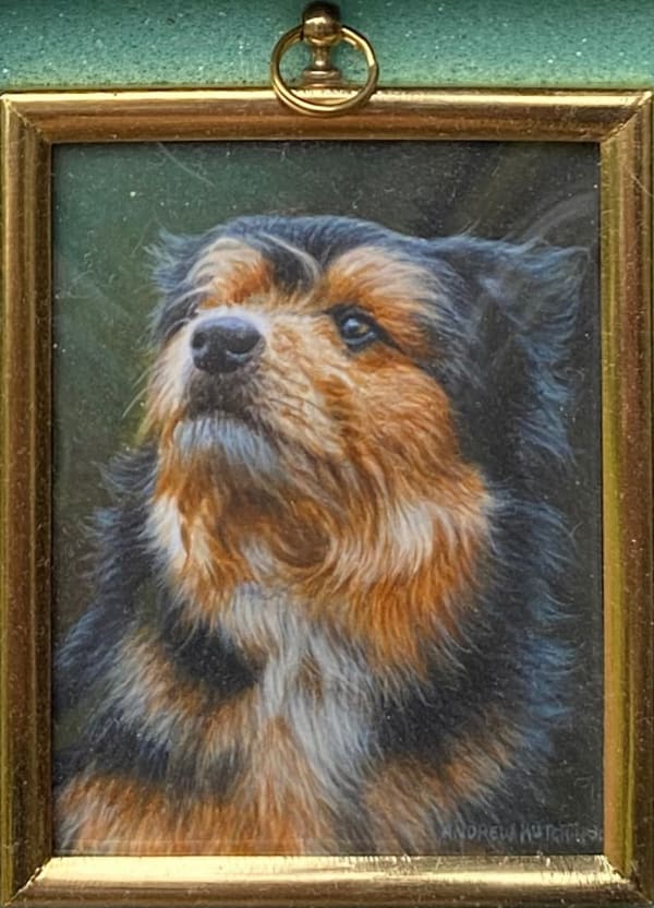 Andrew Hutchinson RMS, Dog Portrait, 2022