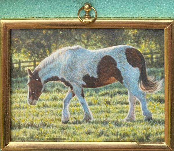 Andrew Hutchinson RMS, Piebald Pony, 2022