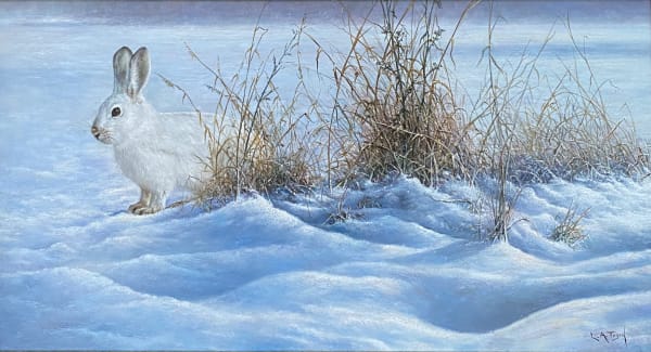 Lion Feijen, Snow Hare