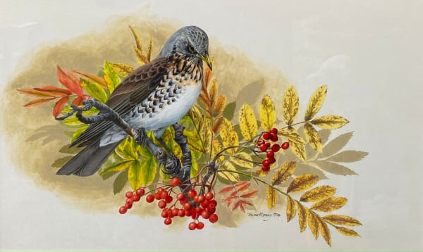 James Renny, Fieldfare