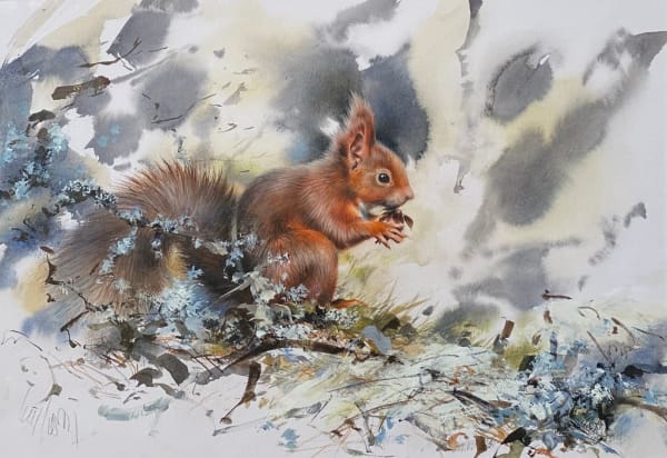 Lucy Newton, Red Squirrel