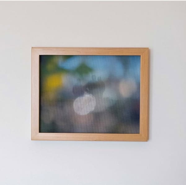 Rosie Clements, Glint, 2025