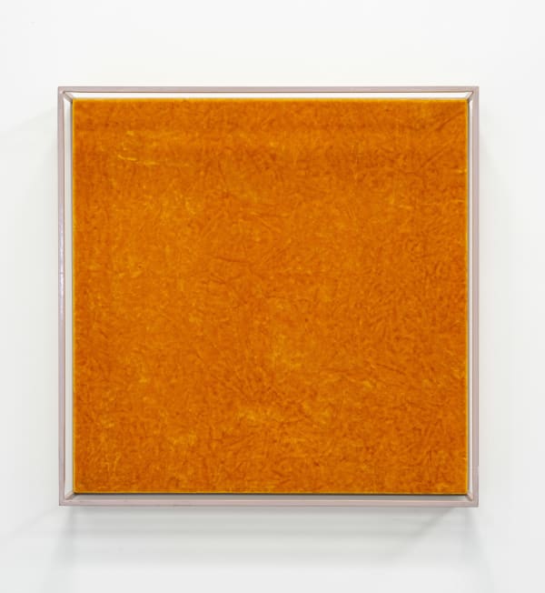 Andy Coolquitt, tangerine dream vitrine, 2018