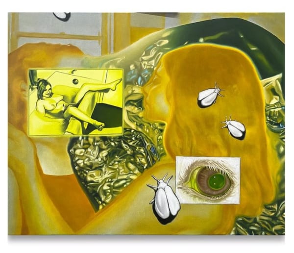 Charlotte Fox, Fiction Writer / Yellow Braces, 2022