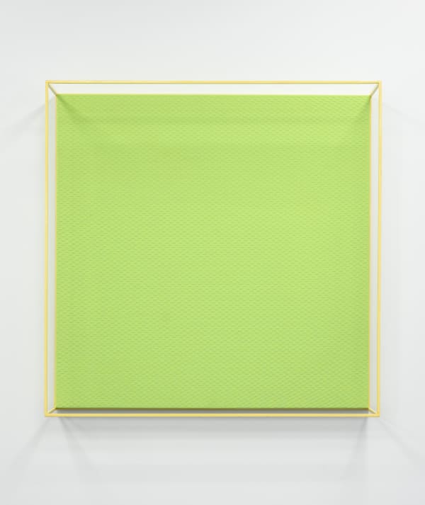 Andy Coolquitt, green weave vitrine, 2018