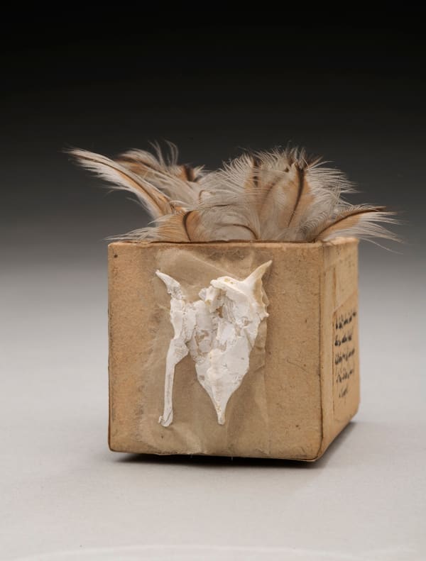 Lenore Tawney, Untitled (Feather Box), circa 1980