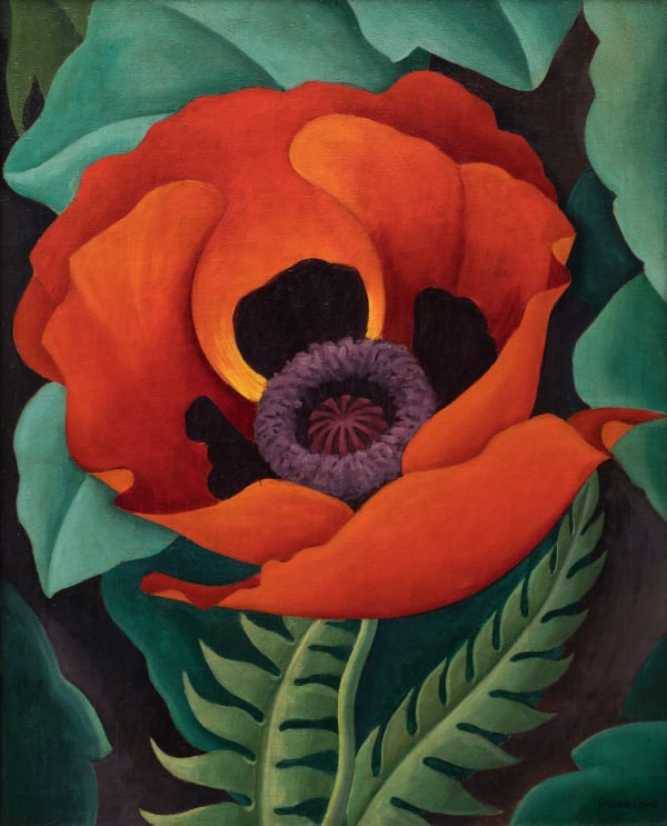 Robert Gribbroek, Poppy, 1937