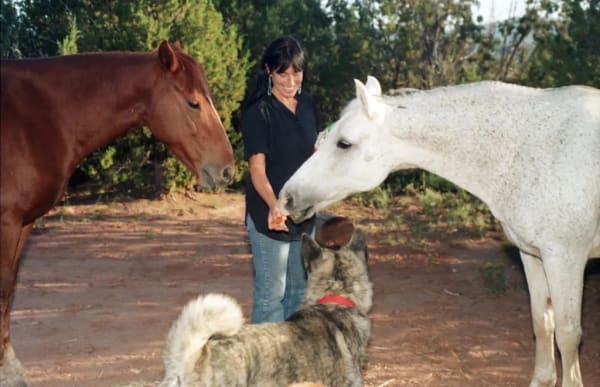 Susan Hertel - SUSAN HERTEL