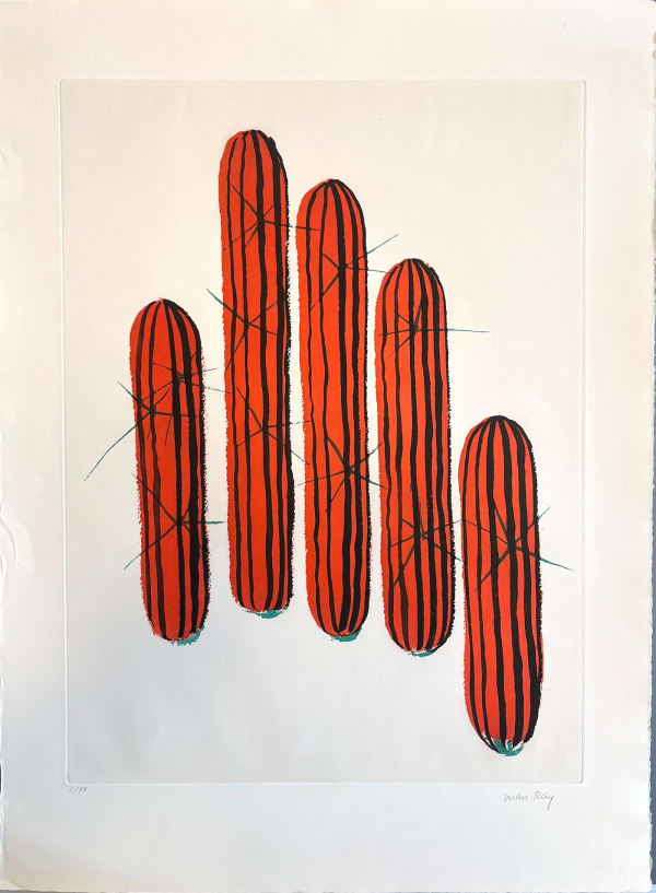 MAN RAY, Cactus F (Transfiguration d'un cactus), 1971