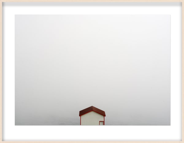 White Fog Horn, 2023