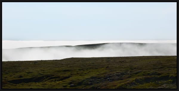 Ned Pratt, The Barrens in Spring, 2022
