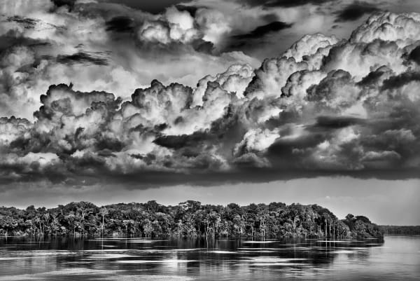 The paraná connecting the Rio Negro with the Cujuni River, State of Amazonas, 2019