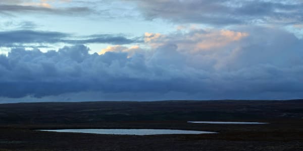 Ned Pratt, Two Ponds at Dusk, 2022
