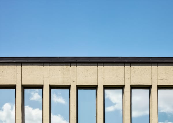 Ned Pratt, Littledale, 2019