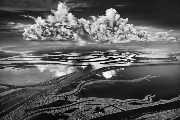 Anavilhanas National Park, State of Amazonas, Brazil, 2009