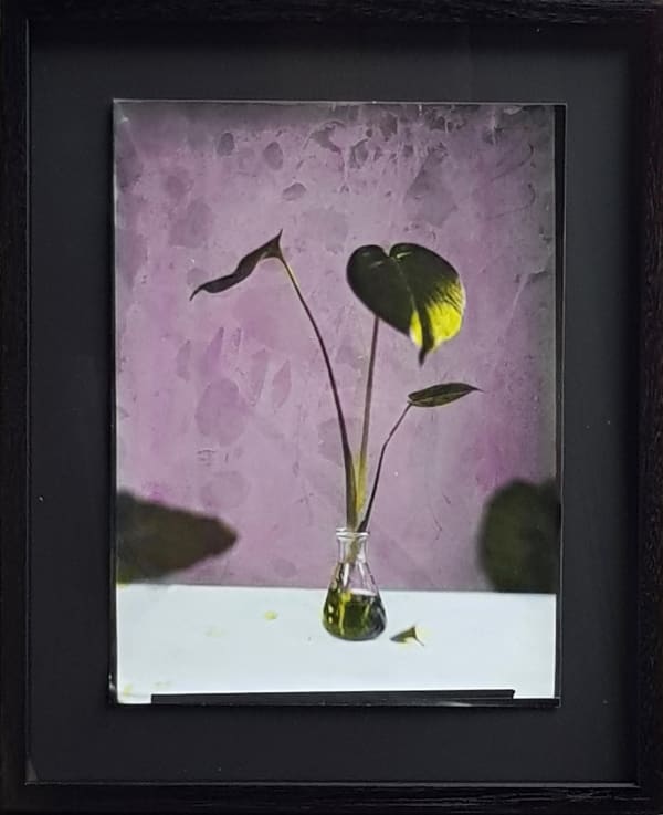 Fabrizio Biviano, Untitled IV, 2022