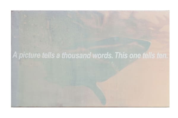 A picture tells a thousand words