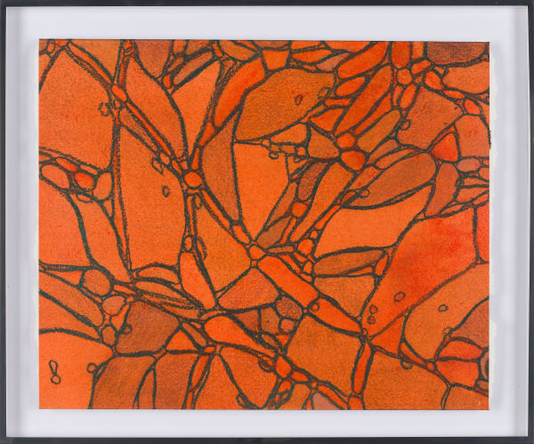 From Chromatophores #6