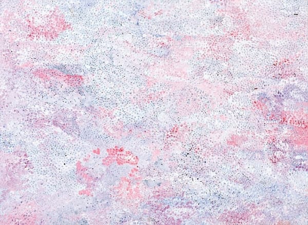 Kathleen Ngale, Untitled 09J012, from Arnwekety (Bush Plum Dreaming) Series, 2009