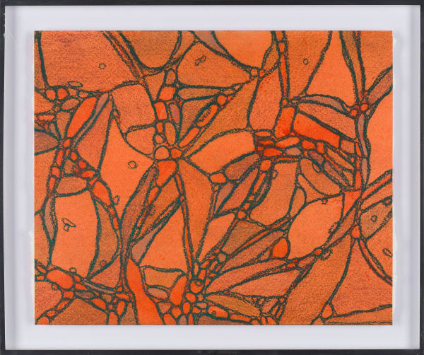 From Chromatophores #1