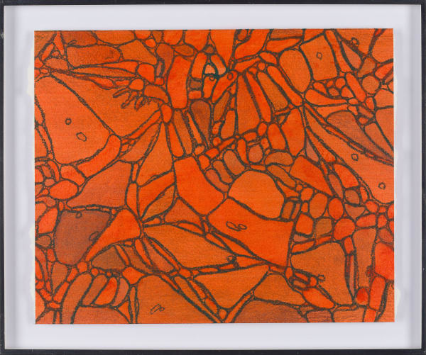 From Chromatophores #5