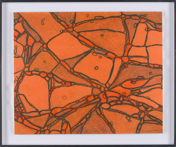 From Chromatophores #3