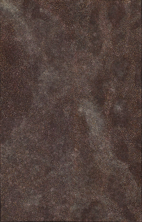 Thorny Devil Lizard Dreaming