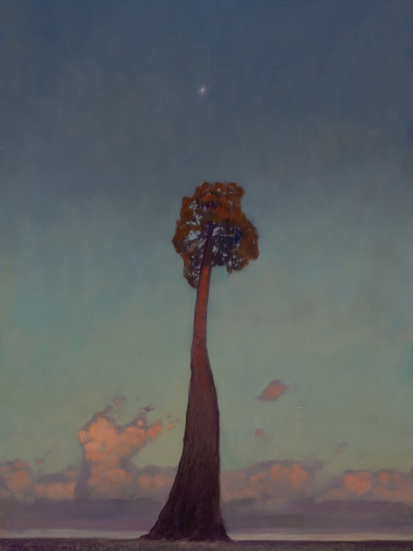 A Conversation of the Solitary