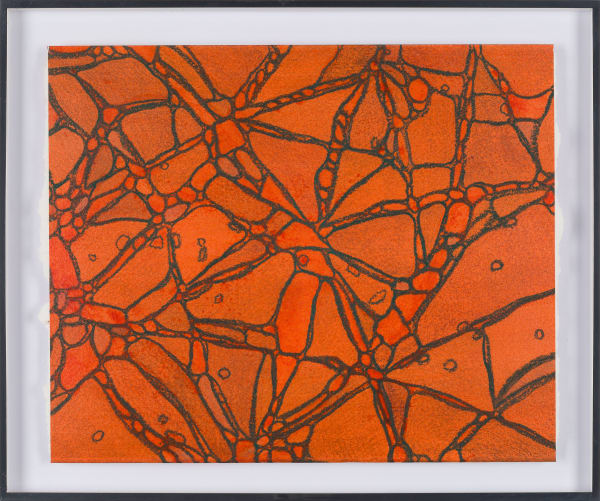 From Chromatophores #4