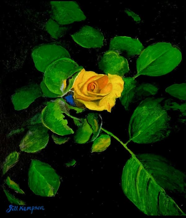 The Yellow Rose
