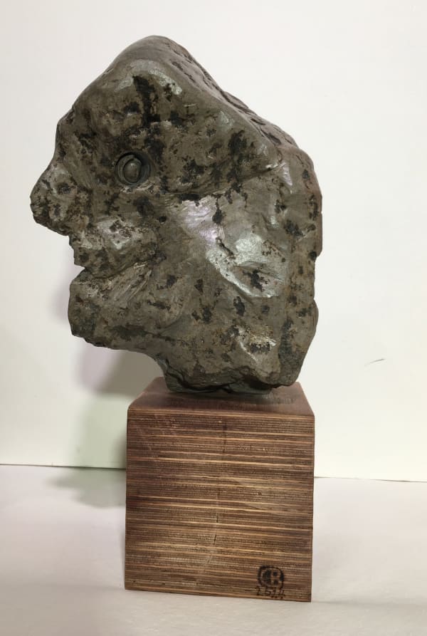 Carlos Barrios, Maestro (Don Juan - Homage to John Olsen), 2024