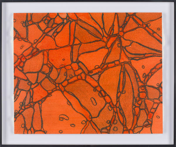 From Chromatophores #2