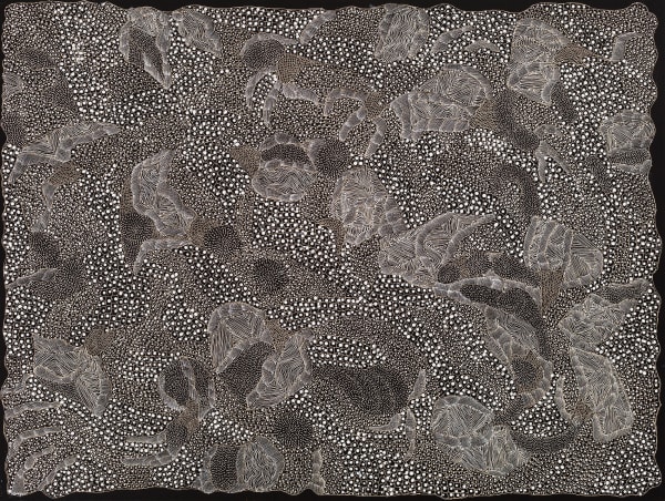 Ngintaka - Perentie #32 [JNKM3122024]